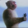 Roach's profile picture'